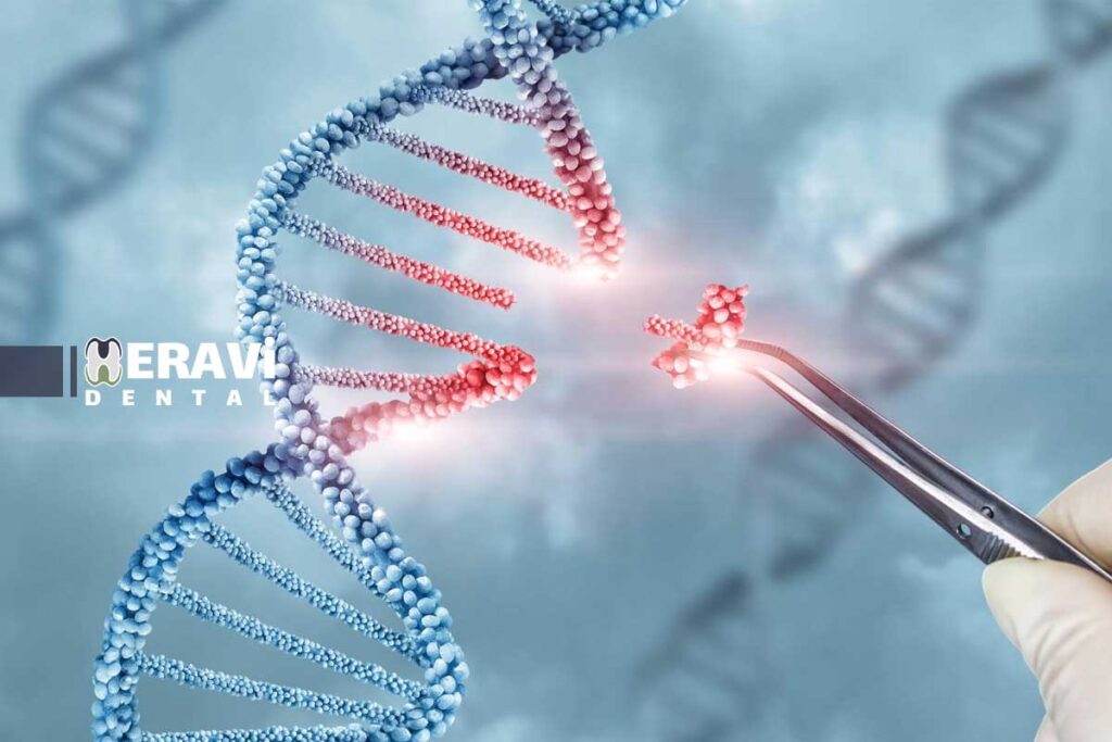 کشف مهم محققان دانشگاه بوفالو؛ نقش ژن KMT2D در سلامت مینای دندان و درمان اختلالات دهان 2 نقش ژن KMT2D در سلامت مینای دندان و درمان اختلالات دهان