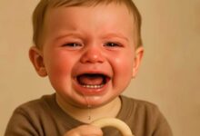 تب و درآمدن دندان نیش کودک